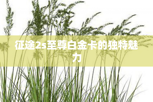 征途2s至尊白金卡的独特魅力图片