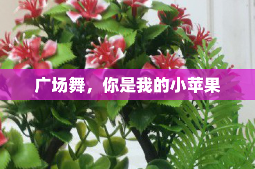 你是我的小苹果图片