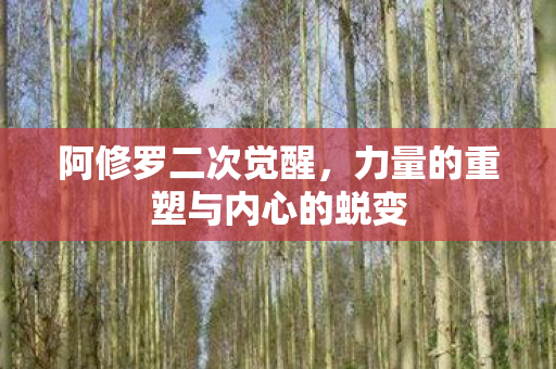 力量的重塑与内心的蜕变图片