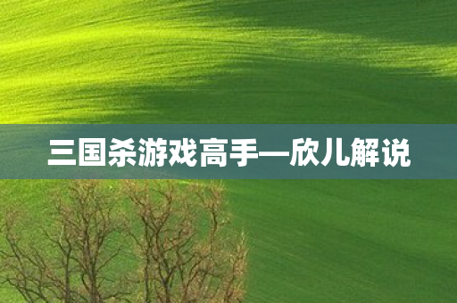 三国杀游戏高手图片