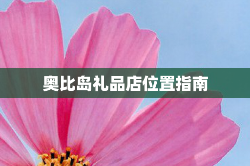 奥比岛礼品店位置指南图片