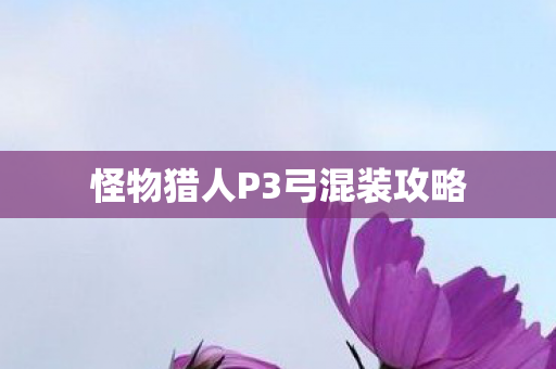 怪物猎人P3弓混装攻略图片