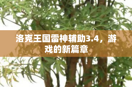 洛克王国雷神辅助3图片