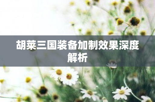 胡莱三国装备加制效果深度解析图片