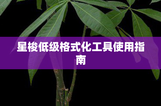 星梭低级格式化工具使用指南图片