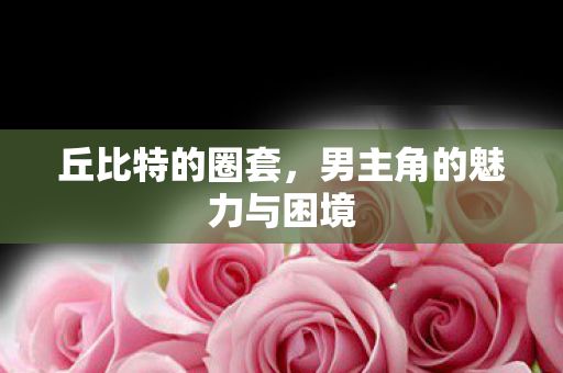 男主角的魅力与困境图片