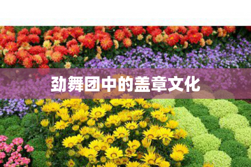 劲舞团中的盖章文化图片