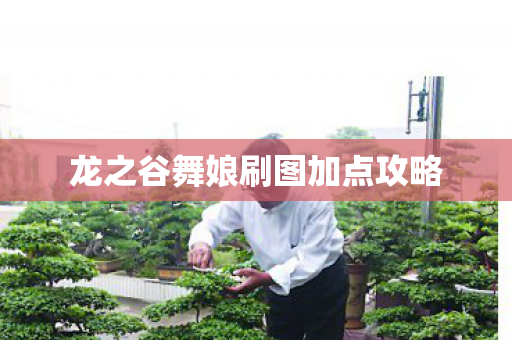 龙之谷舞娘刷图加点攻略图片