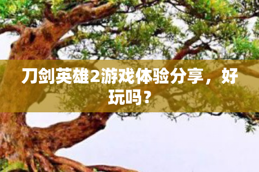 刀剑英雄2游戏体验分享图片