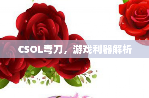 CSOL弯刀图片