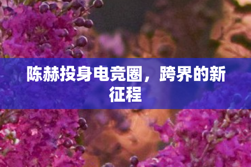 陈赫投身电竞圈图片