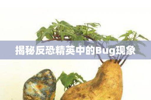 揭秘反恐精英中的Bug现象图片
