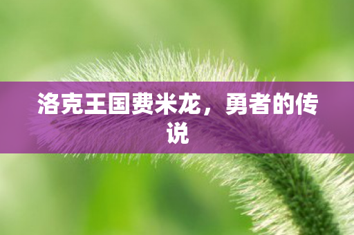 洛克王国费米龙图片