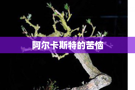 阿尔卡斯特的苦恼图片