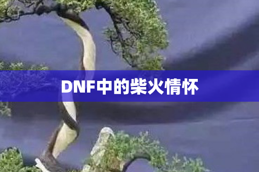DNF中的柴火情怀图片
