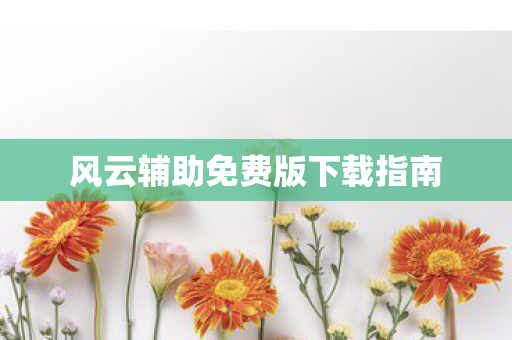 风云辅助免费版下载指南图片