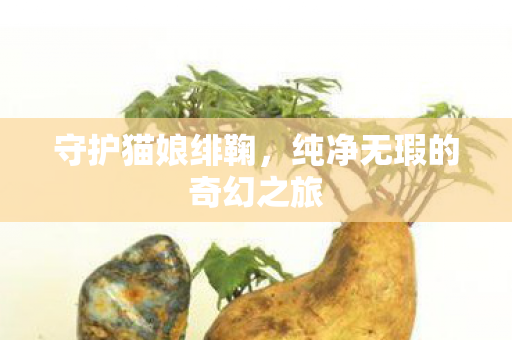 纯净无瑕的奇幻之旅图片