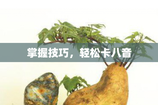 轻松卡八音图片