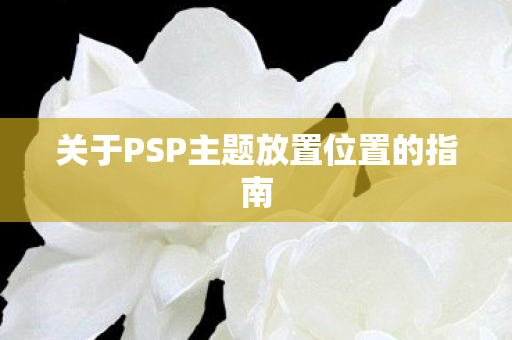 关于PSP主题放置位置的指南图片
