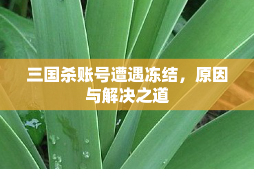 三国杀账号遭遇冻结图片