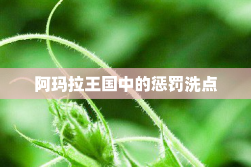阿玛拉王国中的惩罚洗点图片