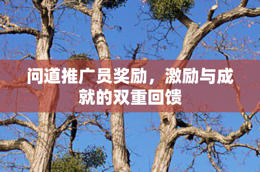 激励与成就的双重回馈图片