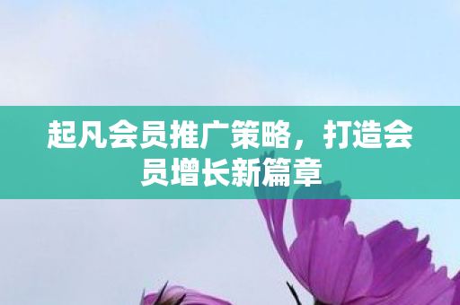 打造会员增长新篇章图片