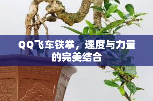 速度与力量的完美结合图片