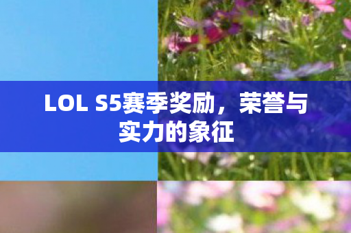 LOL S5赛季奖励图片