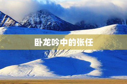 卧龙吟中的张任图片