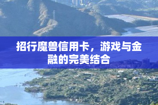 游戏与金融的完美结合图片