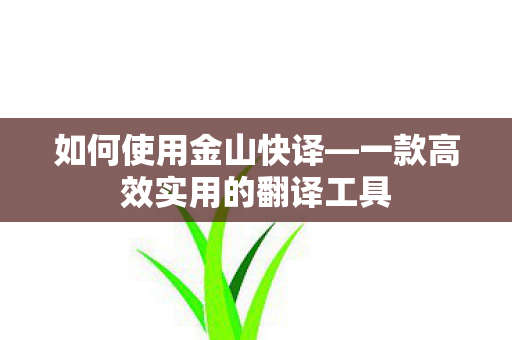 一款高效实用的翻译工具图片