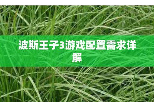 波斯王子3游戏配置需求详解图片