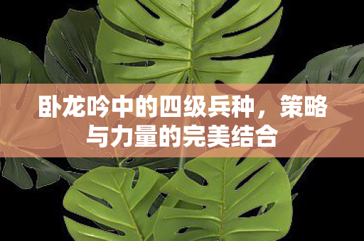 策略与力量的完美结合图片