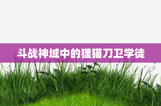 斗战神域中的狸猫刀卫学徒图片