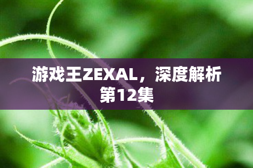 游戏王ZEXAL图片