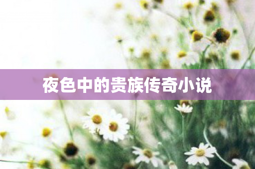 夜色中的贵族传奇小说图片