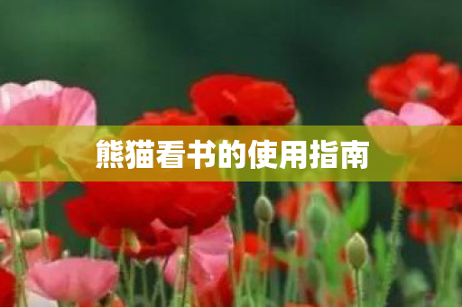 熊猫看书的使用指南图片