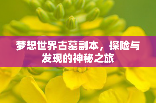 探险与发现的神秘之旅图片