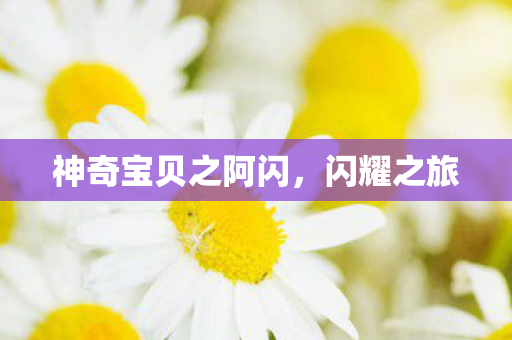 神奇宝贝之阿闪图片