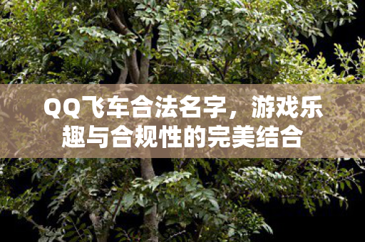 游戏乐趣与合规性的完美结合图片