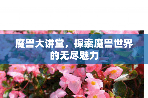 探索魔兽世界的无尽魅力图片