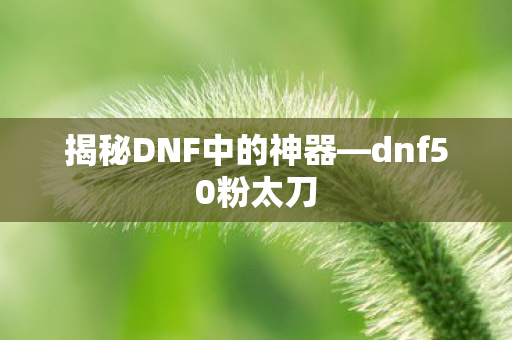 揭秘DNF中的神器图片
