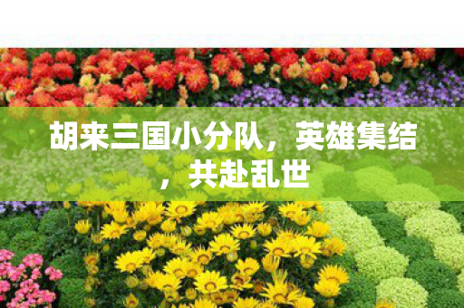 胡来三国小分队图片