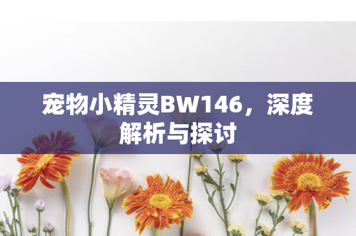 宠物小精灵BW146图片