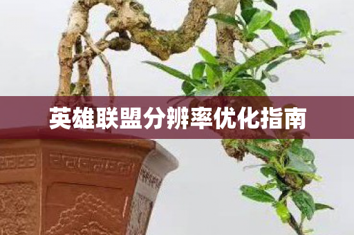 英雄联盟分辨率优化指南图片
