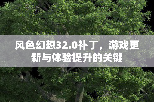 游戏更新与体验提升的关键图片