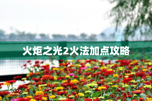 火炬之光2火法加点攻略图片