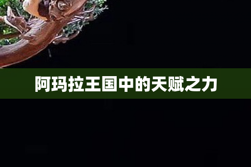 阿玛拉王国中的天赋之力图片