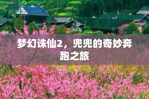 兜兜的奇妙奔跑之旅图片